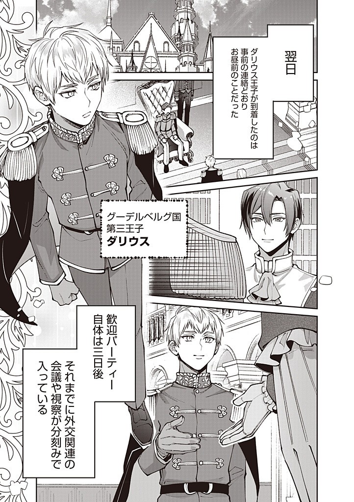 DENKA, ANATA GA SUTETA ONNA GA HONMONO NO SEIJO DESU Chapter 21 page 13 - nihonkuni.com