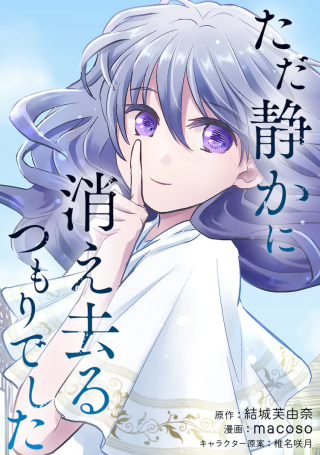 Tada Shizuka Ni Kiesaru Tsumori Deshita