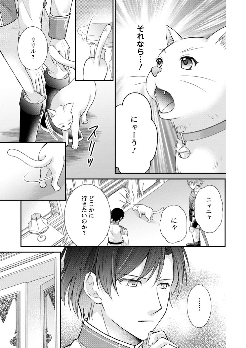 Read NOROI DE NEKO NI SARETA AKUNE, O TAISHI NI HIROWARERU Chapter 6.3 [High Quality / Full] - Page 9 - nicomanga.net