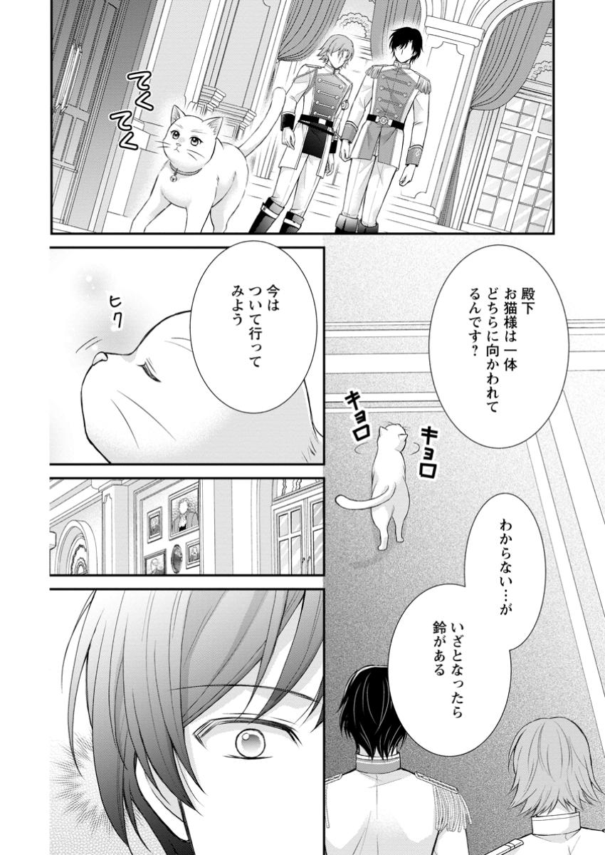 Read NOROI DE NEKO NI SARETA AKUNE, O TAISHI NI HIROWARERU Chapter 6.3 [High Quality / Full] - Page 10 - nicomanga.net