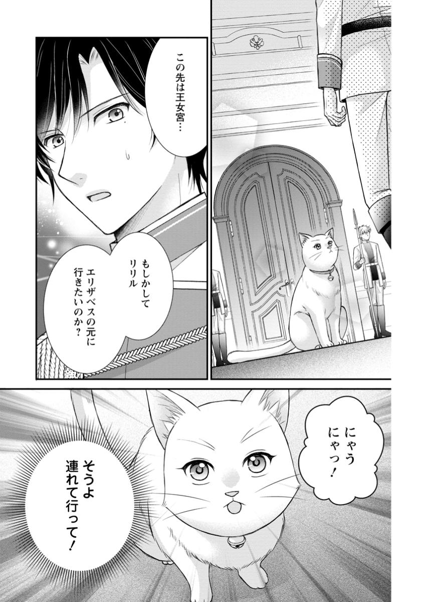 Read NOROI DE NEKO NI SARETA AKUNE, O TAISHI NI HIROWARERU Chapter 6.3 [High Quality / Full] - Page 11 - nicomanga.net