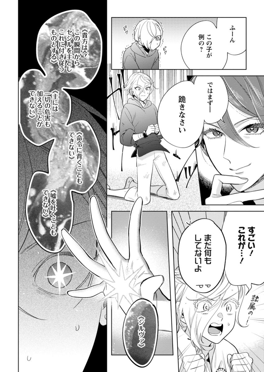 Read DARE NI MO AISARENAI NO DE YUKA WO MIGAITE ITARA SOKO GA SEIIKI-KA SHITA REIJOU NO HANASHI Chapter 17.3 [High Quality / Full] - Page 8 - nicomanga.net