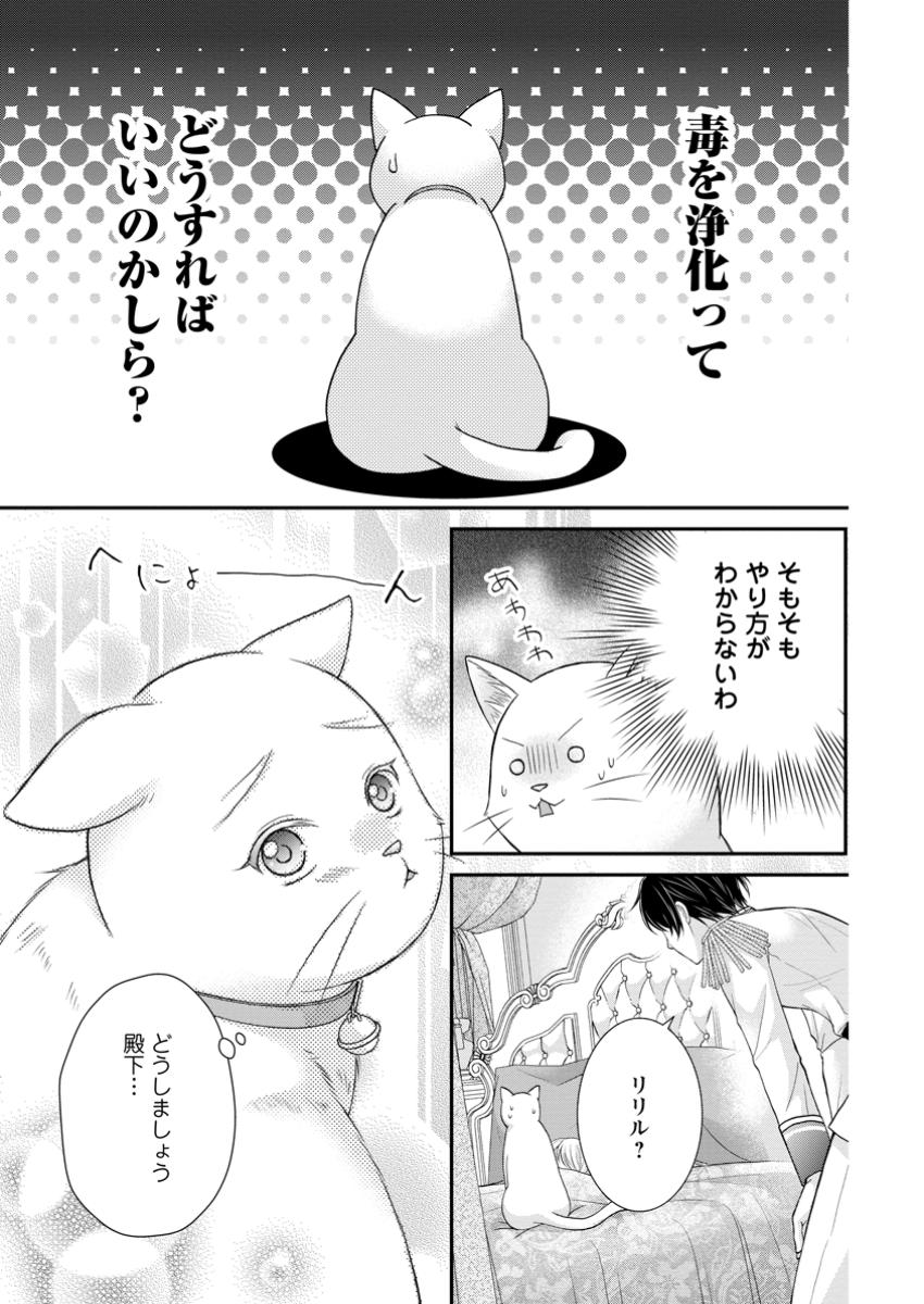 Read NOROI DE NEKO NI SARETA AKUNE, O TAISHI NI HIROWARERU Chapter 7.1 [High Quality / Full] - Page 3 - nicomanga.net