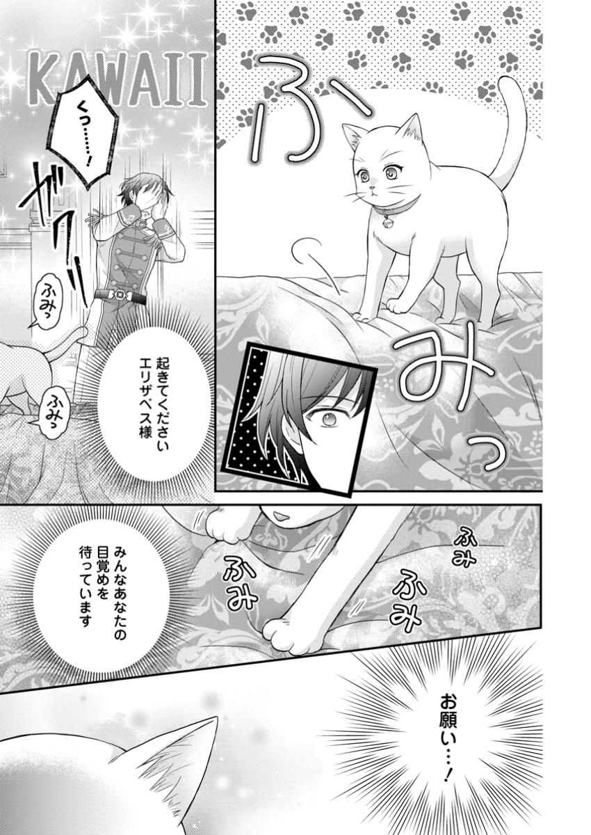 Read NOROI DE NEKO NI SARETA AKUNE, O TAISHI NI HIROWARERU Chapter 7.1 [High Quality / Full] - Page 5 - nicomanga.net