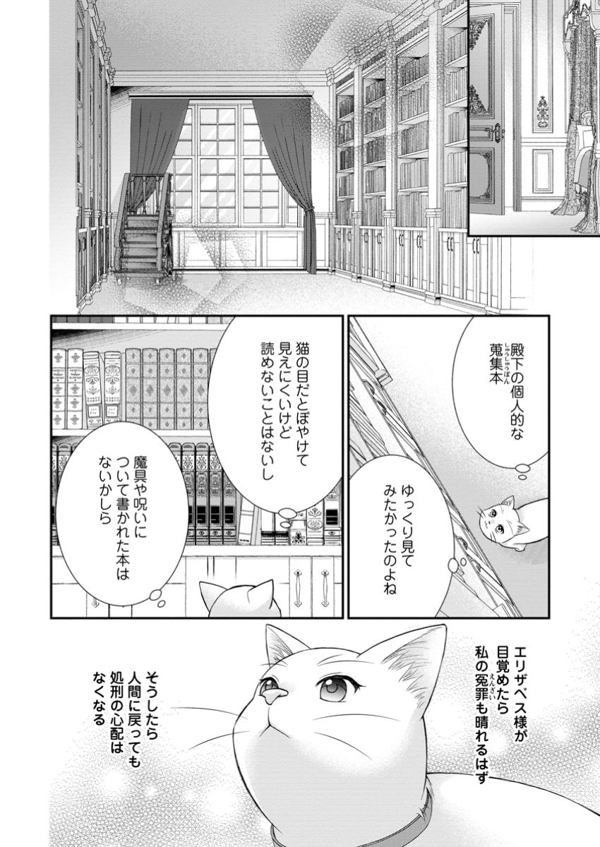 Read NOROI DE NEKO NI SARETA AKUNE, O TAISHI NI HIROWARERU Chapter 7.2 [High Quality / Full] - Page 7 - nicomanga.net