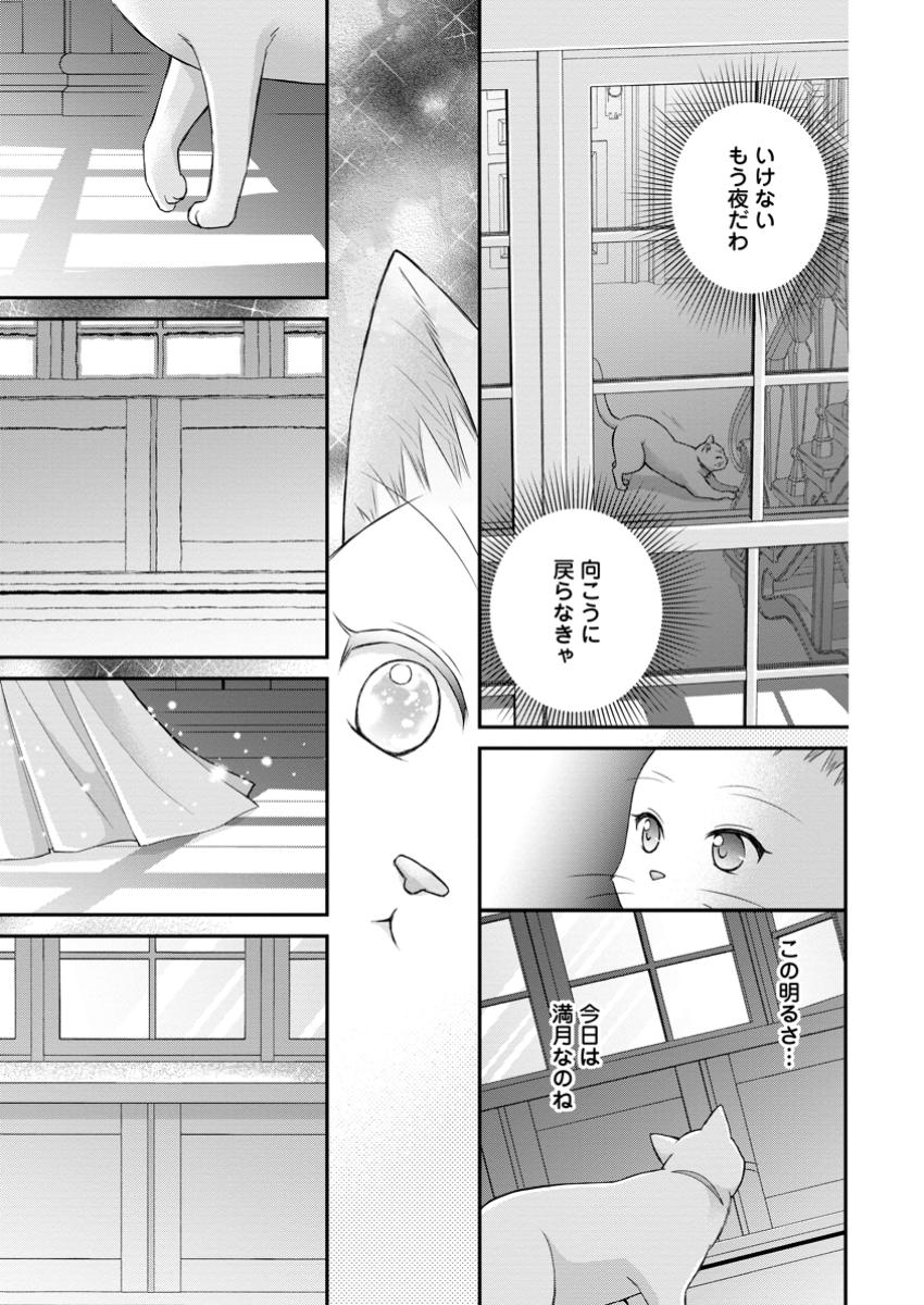 Read NOROI DE NEKO NI SARETA AKUNE, O TAISHI NI HIROWARERU Chapter 7.2 [High Quality / Full] - Page 10 - nicomanga.net