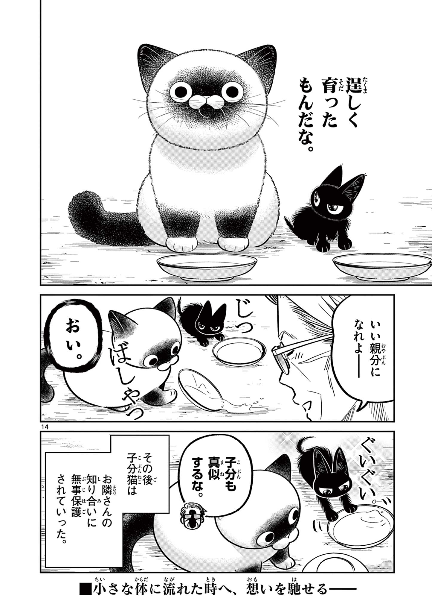 Read OJI-SAN TO NYANKICHI Chapter 38 [High Quality / Full] - Page 14 - nicomanga.com