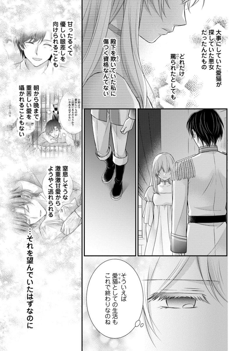 Read NOROI DE NEKO NI SARETA AKUNE, O TAISHI NI HIROWARERU Chapter 8.1 [High Quality / Full] - Page 5 - nicomanga.net