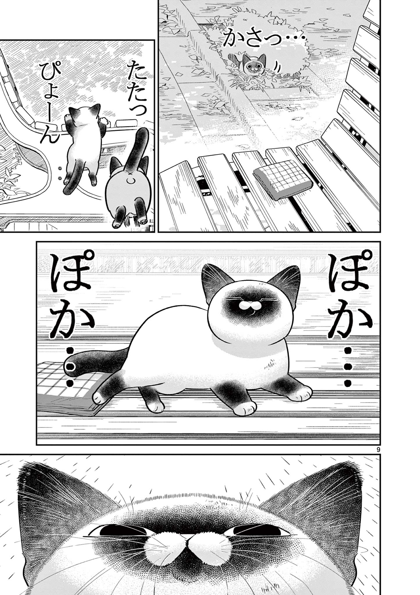 OJI-SAN TO NYANKICHI Chapter 39 page 9 - nihonkuni.com