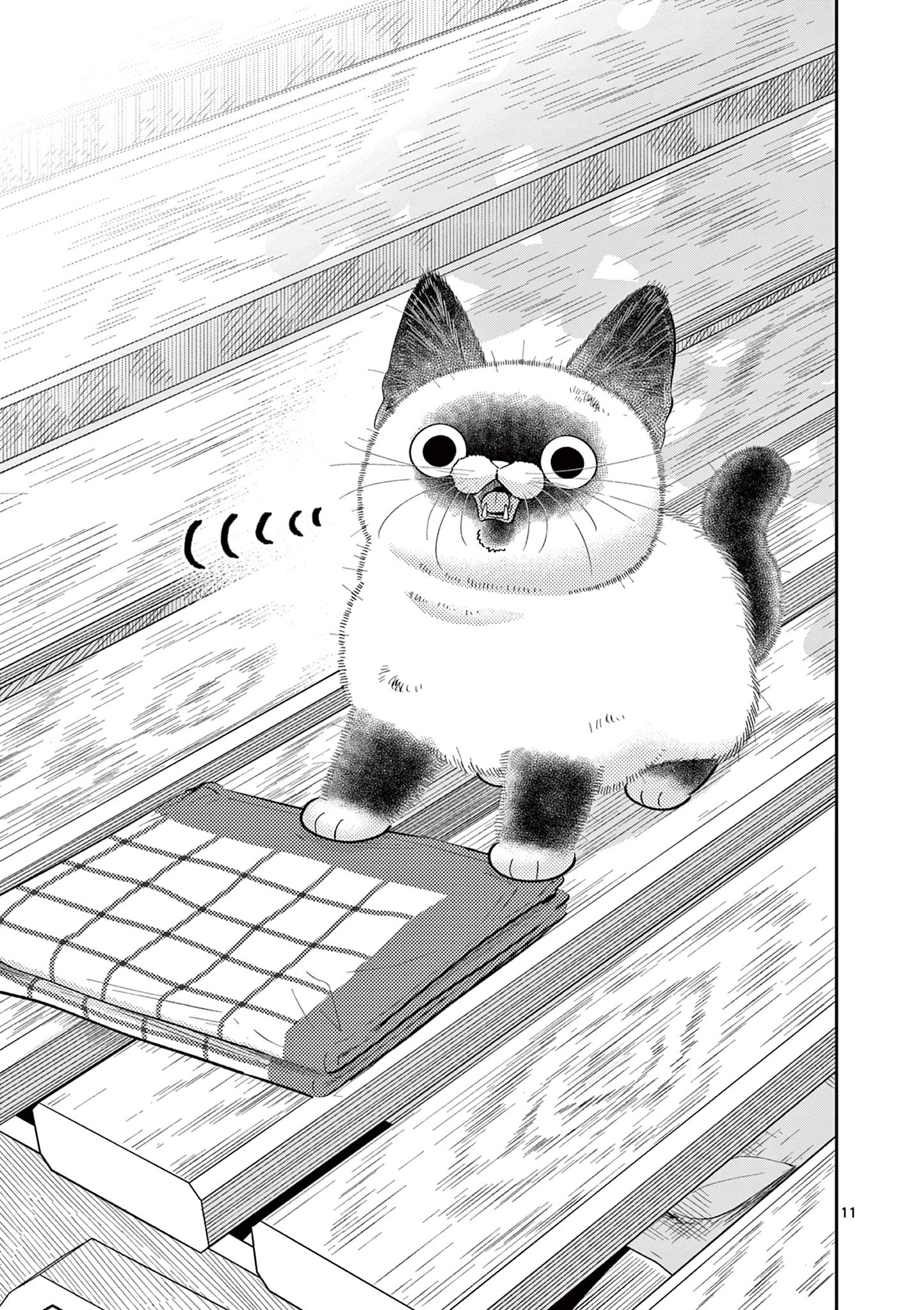 OJI-SAN TO NYANKICHI Chapter 39 page 11 - nihonkuni.com