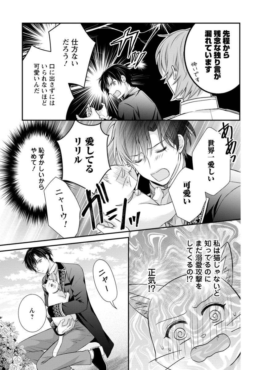 Read NOROI DE NEKO NI SARETA AKUNE, O TAISHI NI HIROWARERU Chapter 9.3 [High Quality / Full] - Page 3 - nicomanga.net