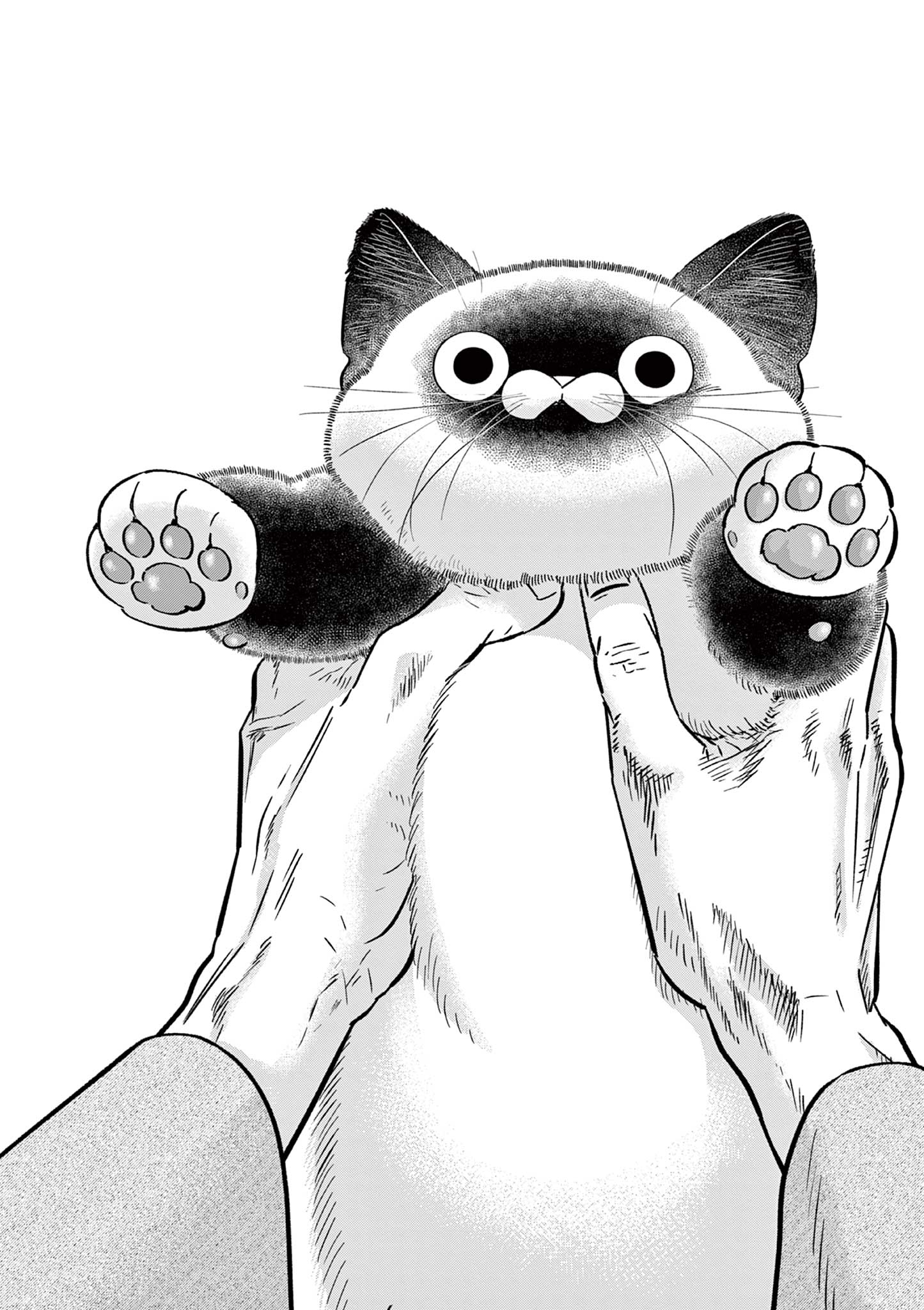 OJI-SAN TO NYANKICHI Chapter 41 page 8 - nihonkuni.com