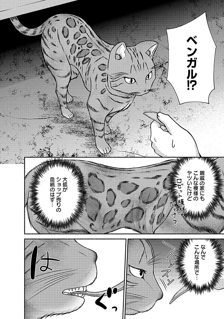 Read KITCHEN CAR DELI-JOY Chapter 33 [High Quality / Full] - Page 22 - nicomanga.net