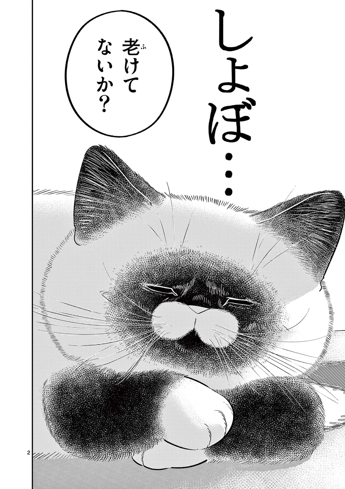 OJI-SAN TO NYANKICHI Chapter 43 page 2 - nihonkuni.com