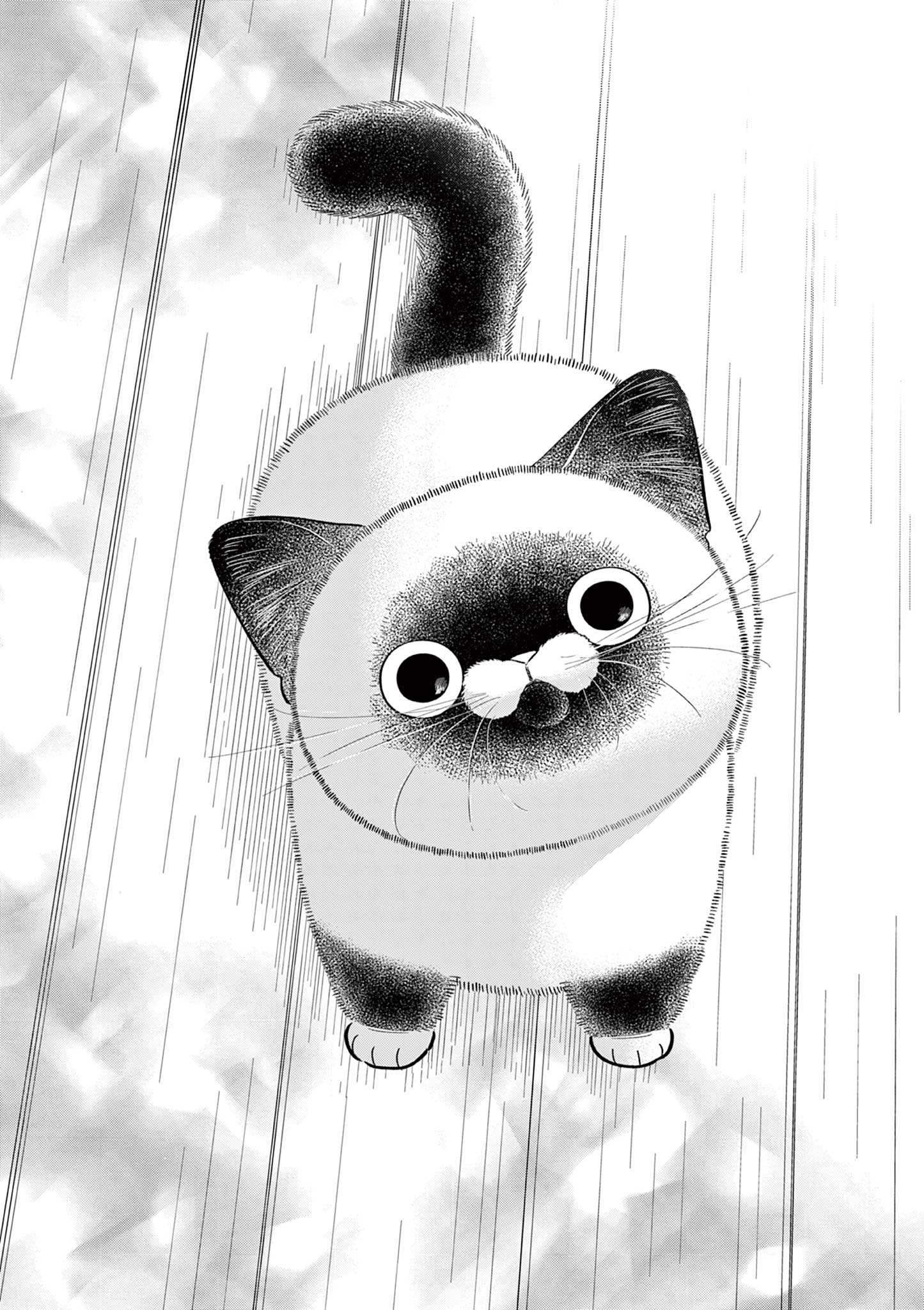 OJI-SAN TO NYANKICHI Chapter 43 page 10 - nihonkuni.com