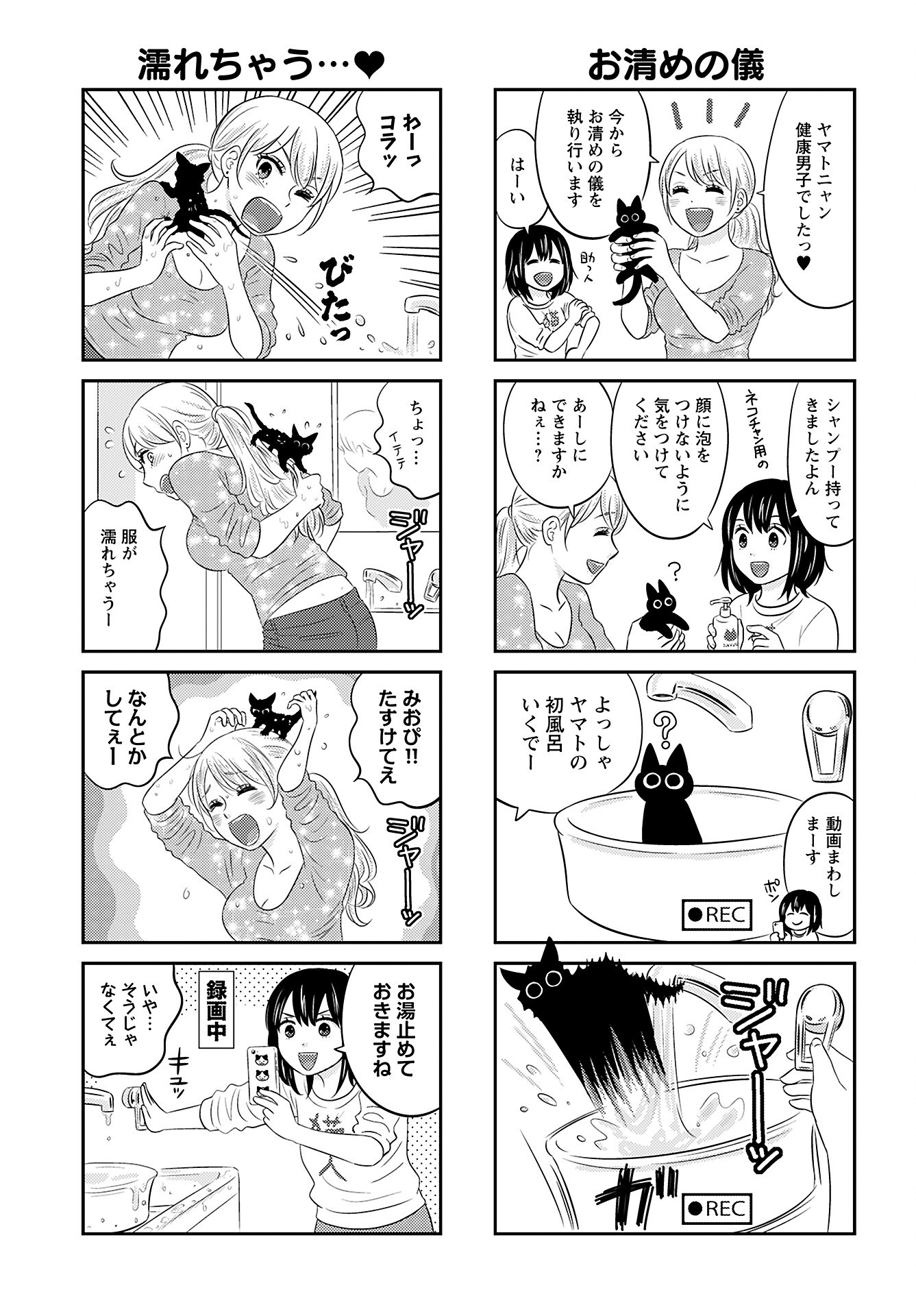 Neko Shika Katan Chapter 12 page 5 - nihonkuni.com
