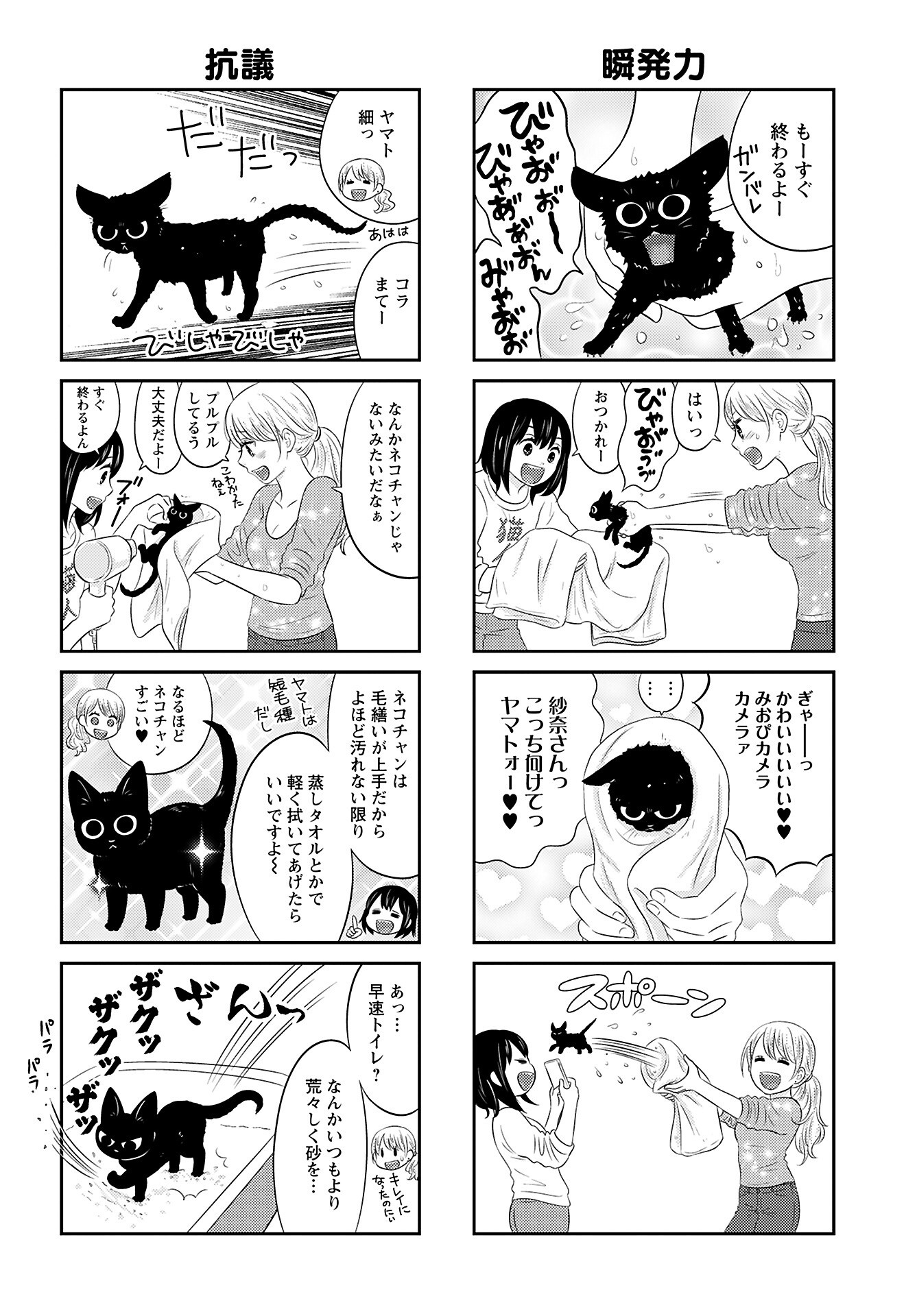 Neko Shika Katan Chapter 12 page 6 - nihonkuni.com