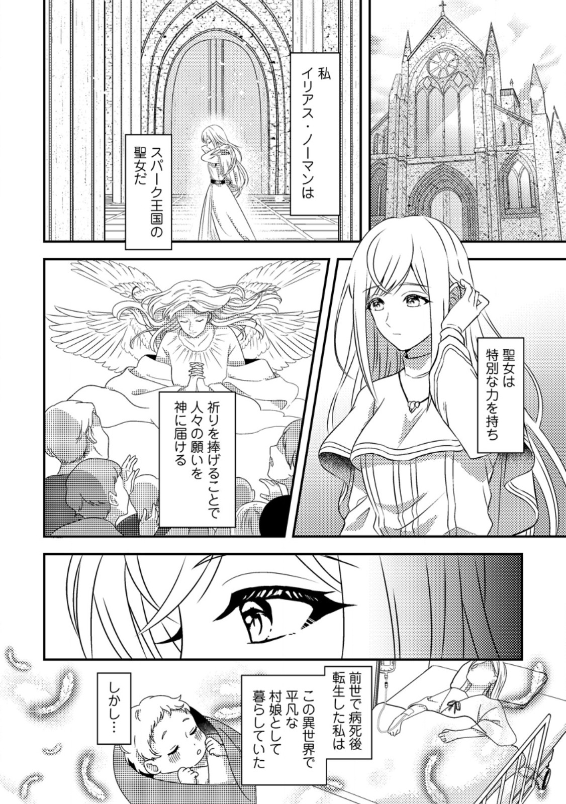 Read NISEMONO NI UBAWARETA SEIJO NO CHII, NANTONAKUSHITEMO TORIKAESA... NAKUTE IIKKA! Chapter 1 [High Quality / Full] - Page 4 - nicomanga.net