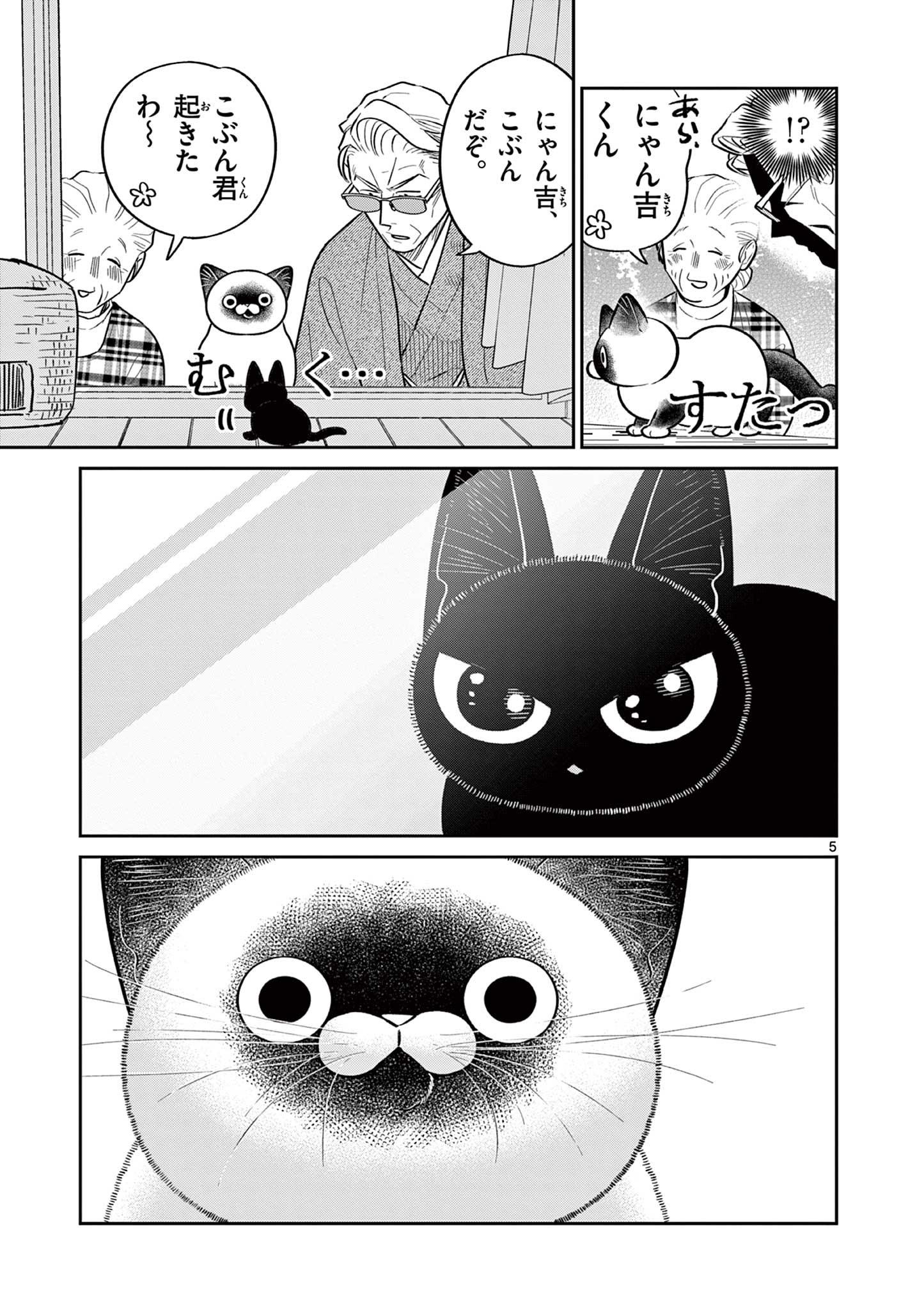 OJI-SAN TO NYANKICHI Chapter 45 page 5 - nihonkuni.com