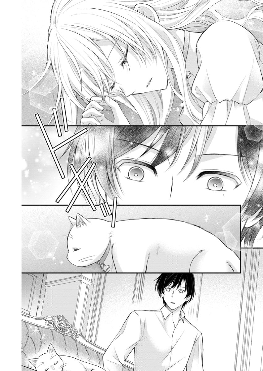 Read NOROI DE NEKO NI SARETA AKUNE, O TAISHI NI HIROWARERU Chapter 11.2 [High Quality / Full] - Page 8 - nicomanga.net