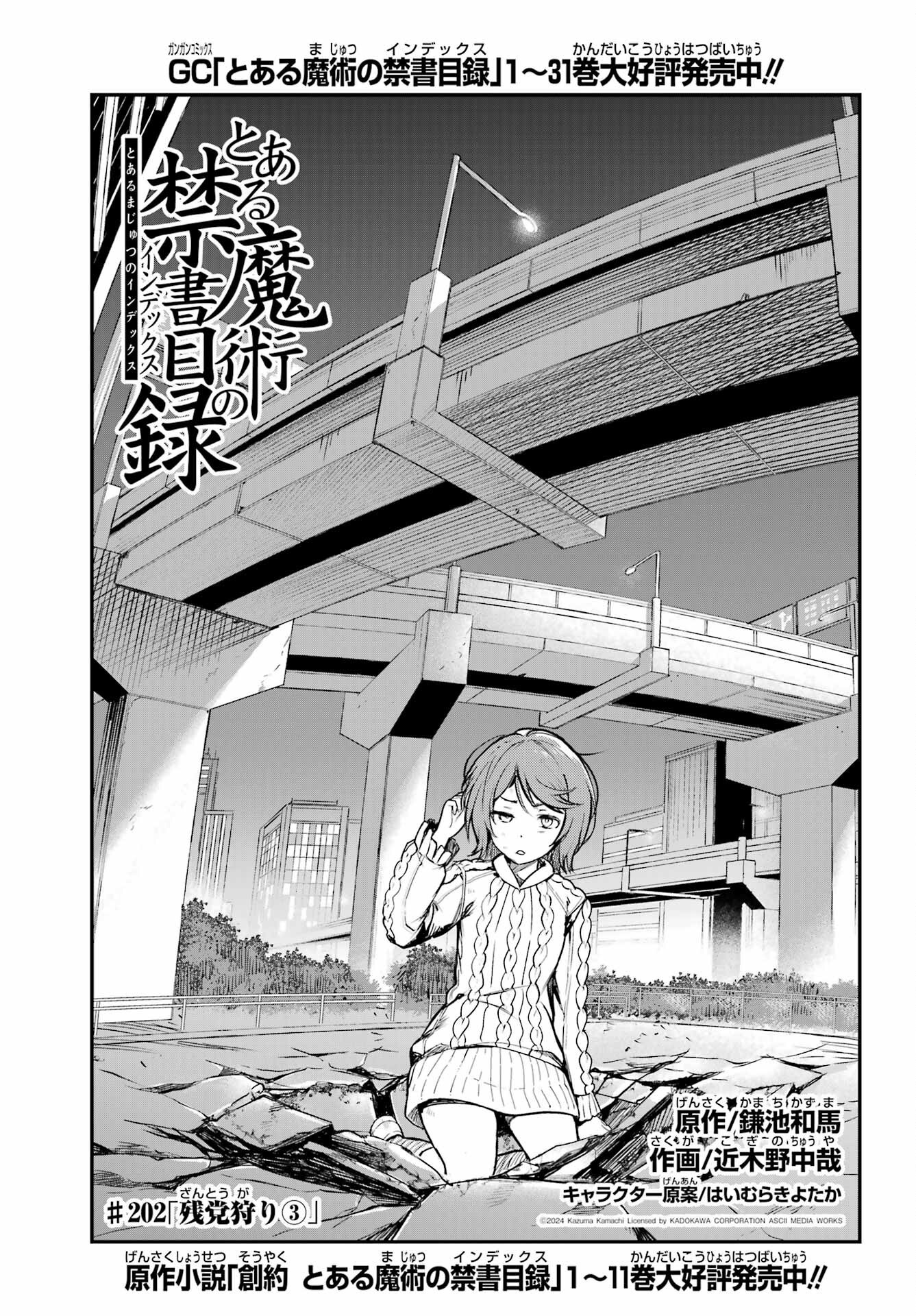 TOARU MAJUTSU NO KINSHO MOKUROKU Chapter 202 - Page 13