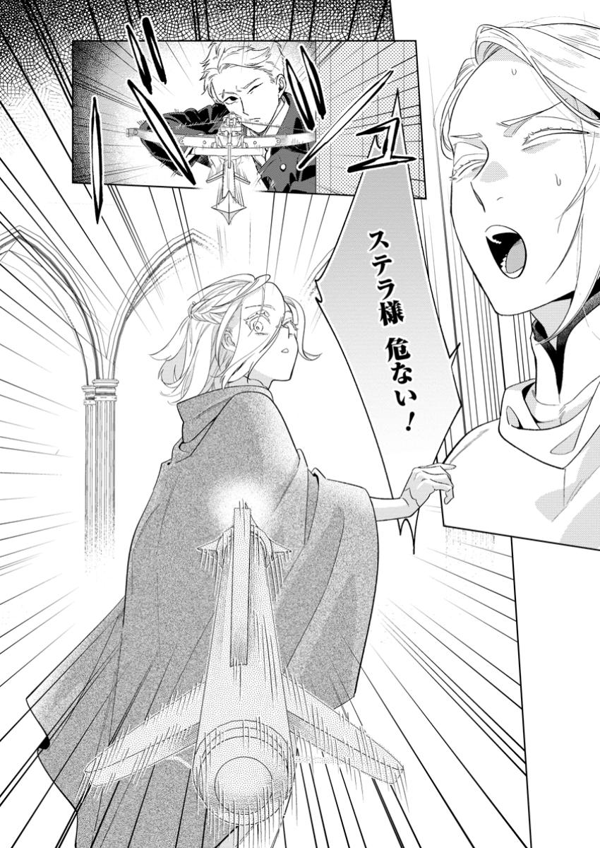 Read DARE NI MO AISARENAI NO DE YUKA WO MIGAITE ITARA SOKO GA SEIIKI-KA SHITA REIJOU NO HANASHI Chapter 21.3 [High Quality / Full] - Page 10 - nicomanga.net