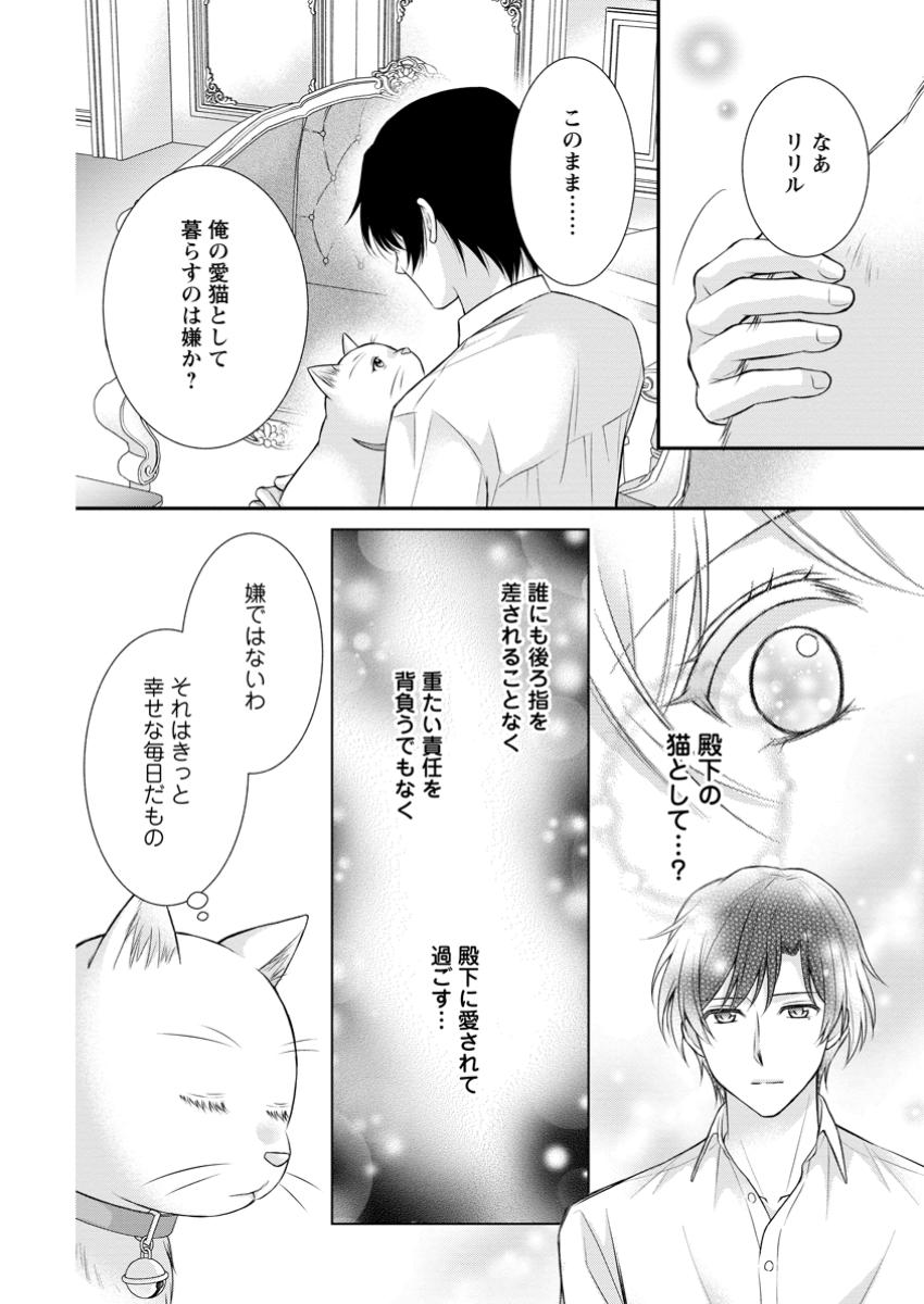 Read NOROI DE NEKO NI SARETA AKUNE, O TAISHI NI HIROWARERU Chapter 11.3 [High Quality / Full] - Page 6 - nicomanga.net
