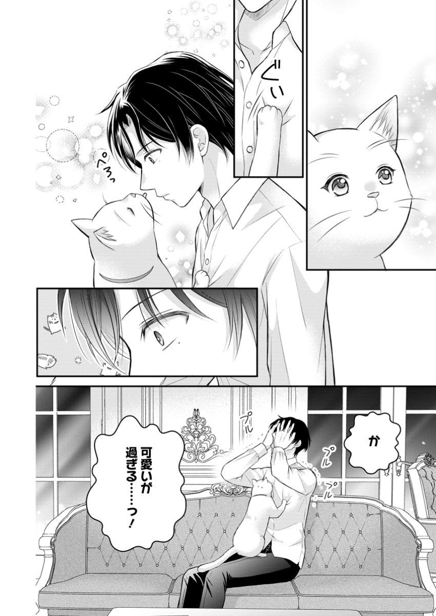 Read NOROI DE NEKO NI SARETA AKUNE, O TAISHI NI HIROWARERU Chapter 11.3 [High Quality / Full] - Page 10 - nicomanga.net