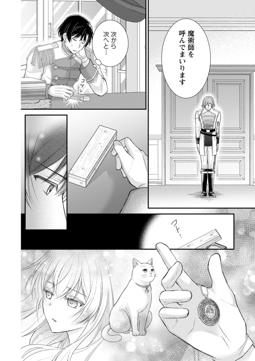 Read NOROI DE NEKO NI SARETA AKUNE, O TAISHI NI HIROWARERU Chapter 12.2 [High Quality / Full] - Page 9 - nicomanga.net