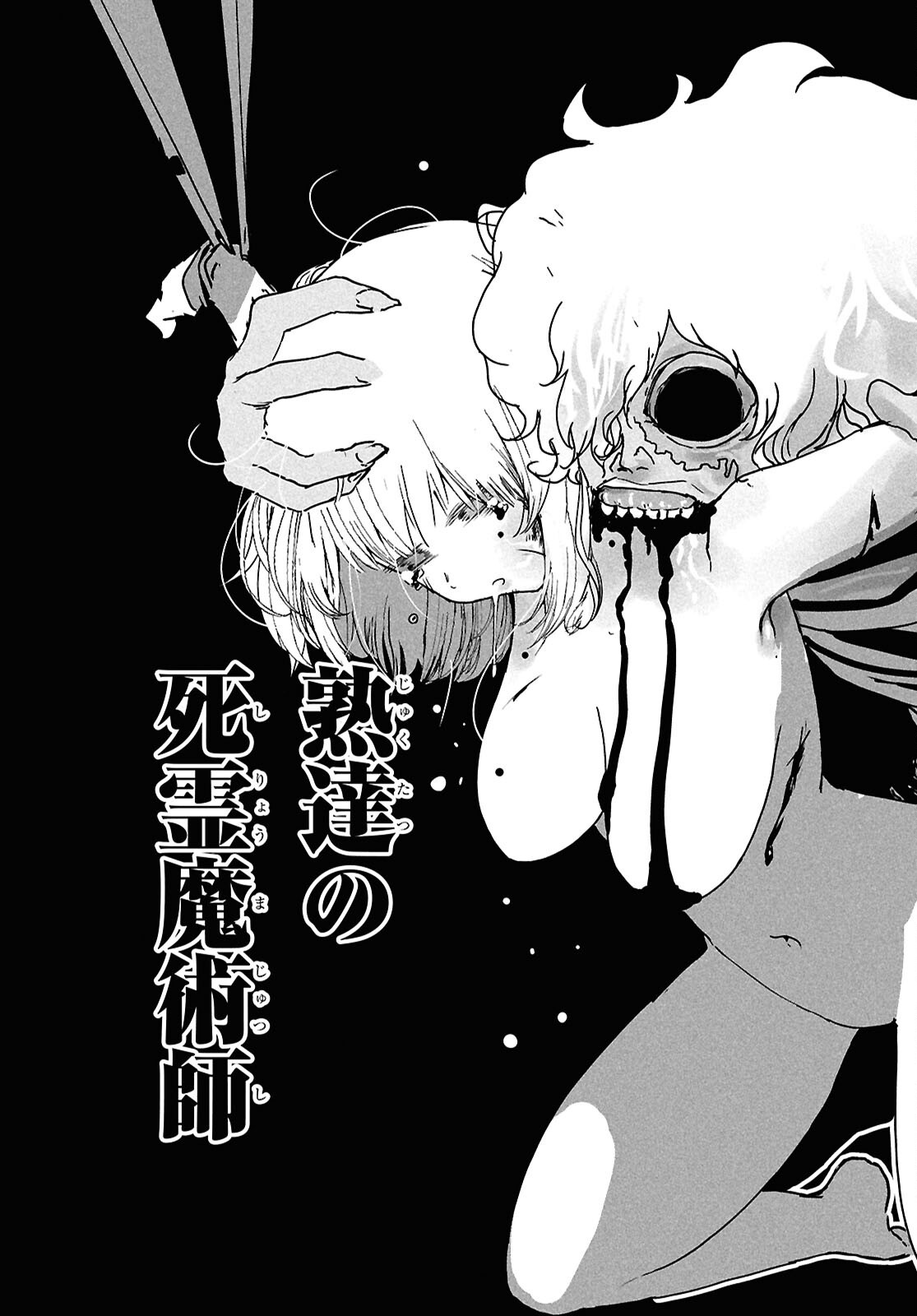 SHIRYOU MAJUTSU NO YOUGISHA Chap 10 - Pic 31