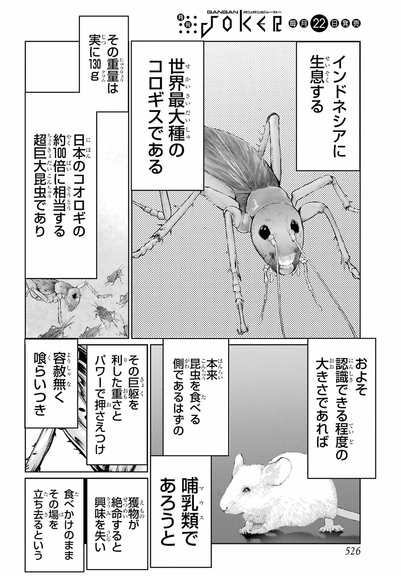 Read BLATTODEA Chapter 47.1 [High Quality / Full] - Page 4 - nicomanga.com