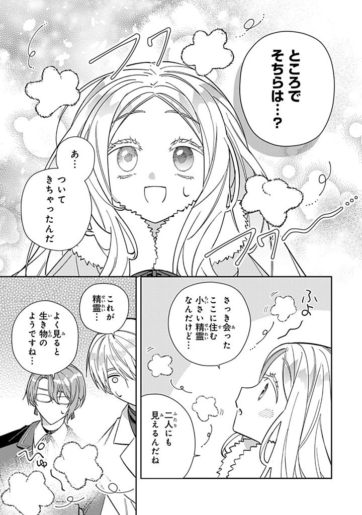 JIYUU KIMAMA NA SEIREIHIME Chapter 26.3 - Page 3