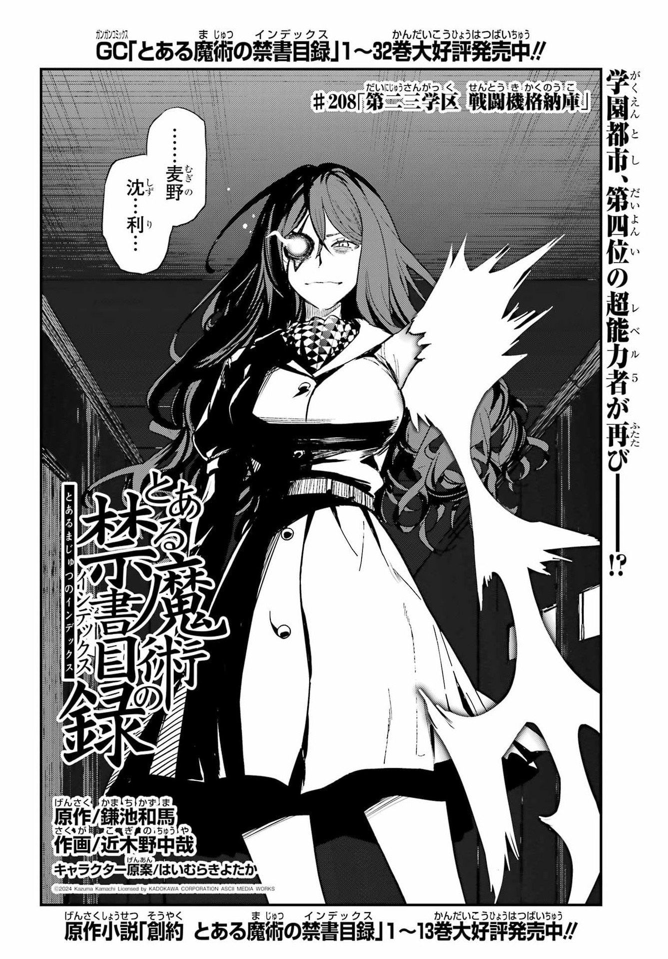 TOARU MAJUTSU NO KINSHO MOKUROKU Chapter 208 - Page 2