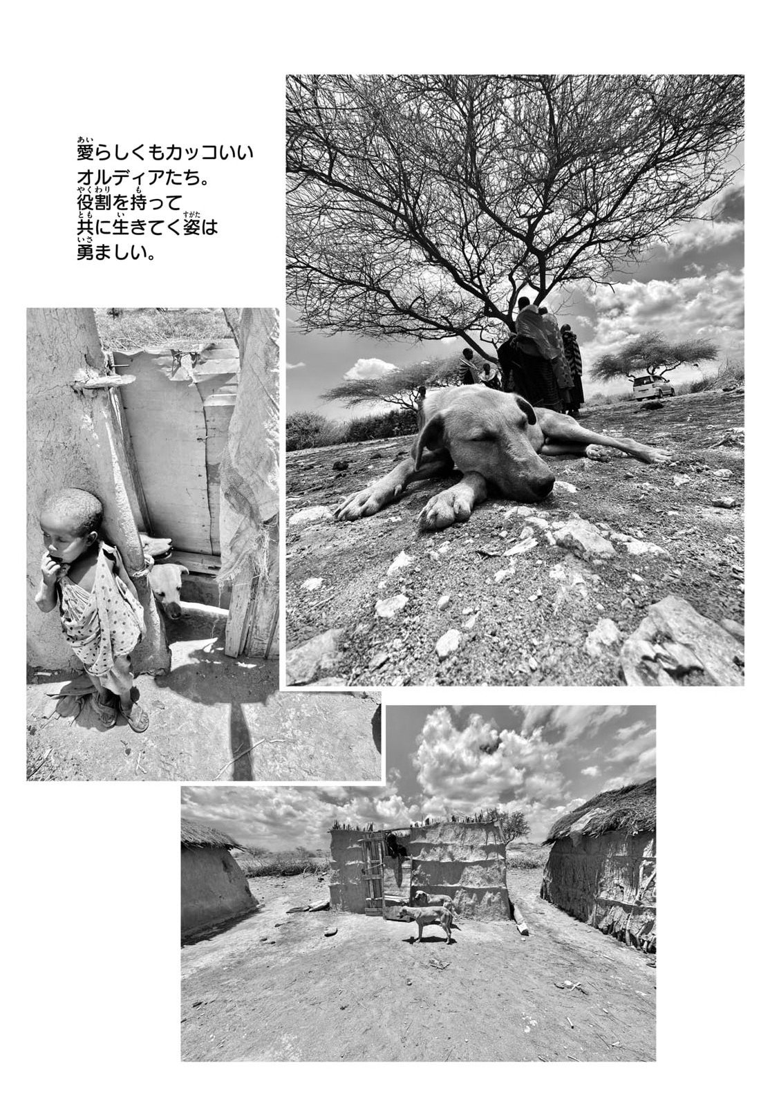 Oukami shounen wa yoru ni naku Chapter 13 page 1 - nihonkuni.com