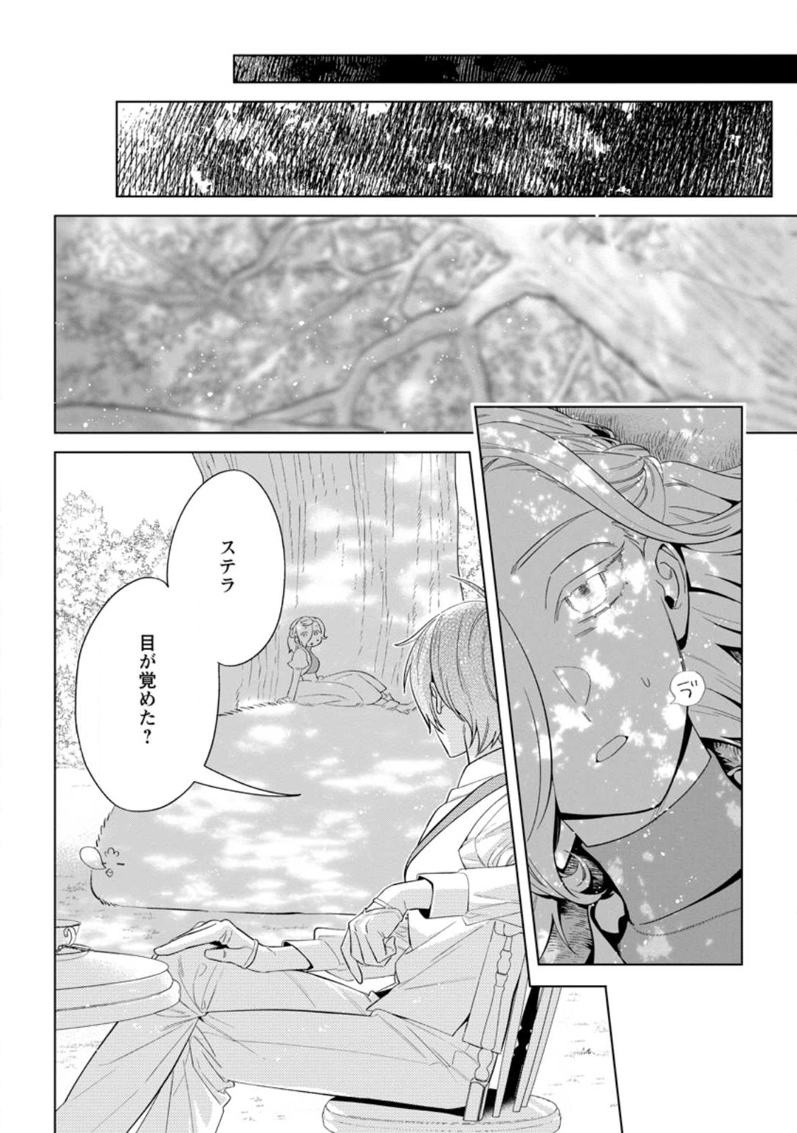 Read DARE NI MO AISARENAI NO DE YUKA WO MIGAITE ITARA SOKO GA SEIIKI-KA SHITA REIJOU NO HANASHI Chapter 25.2 [High Quality / Full] - Page 10 - nicomanga.net