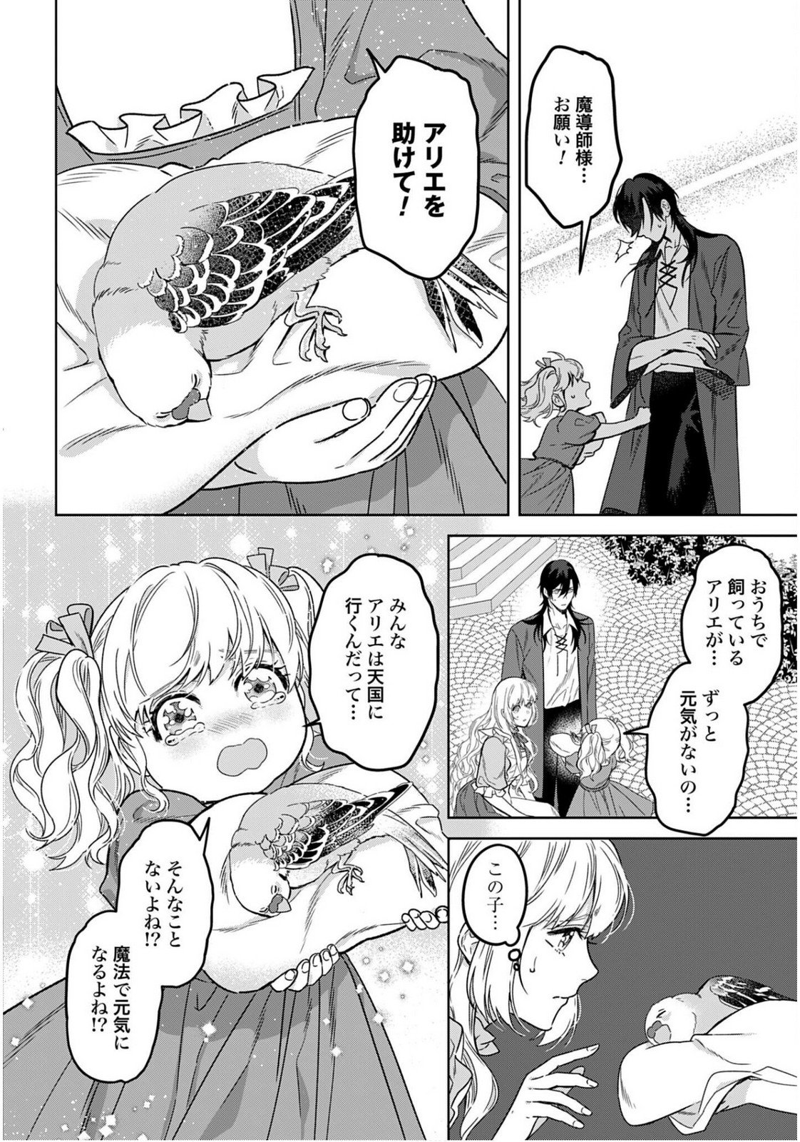 SAIKYOU KOUSHAKU REIJOU NO HENKYOU OSHIKAKE KON - FURAURINA ROZENHAIMU WA UNMEI NO TSUIHOU MADOUSHI NI TOTSUGITAI Chapter 3 page 20 - nihonkuni.com
