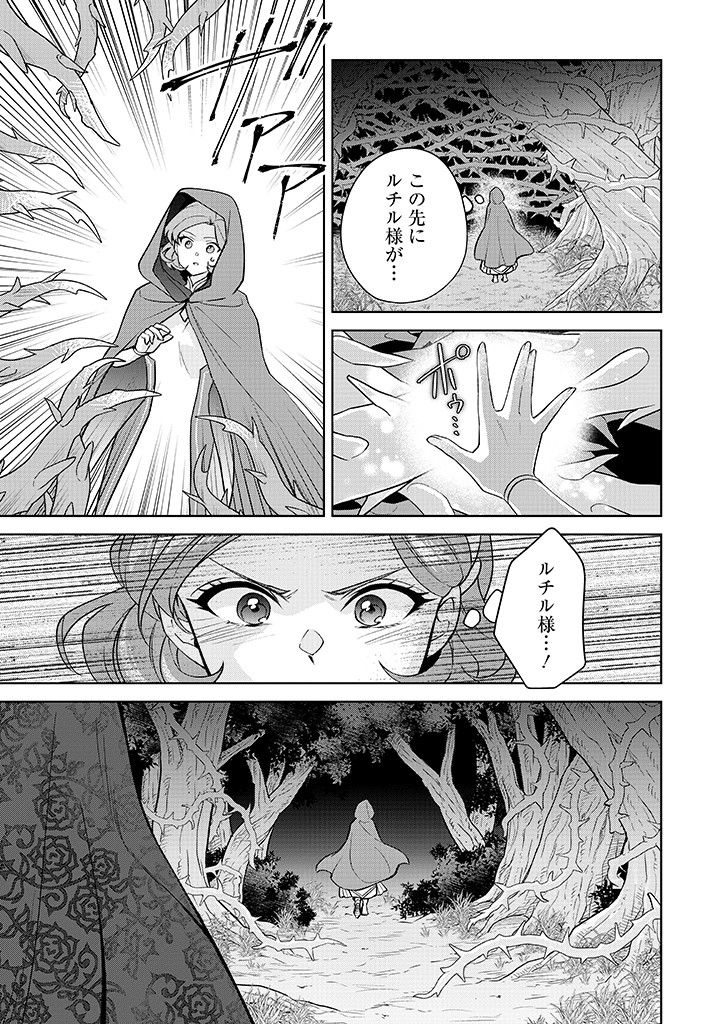 SEISHIN SEIJO: KONYAKU HAKISARETA TSUIHOU SEIJO DESU GA, OOKAMI OUJI NO NOROI WO TOITE DEKIAISARETEMASU - IMASARA KUNI NI MODORETTE IWARETE MO OSOI DESU! Chap 23 - Pic 13