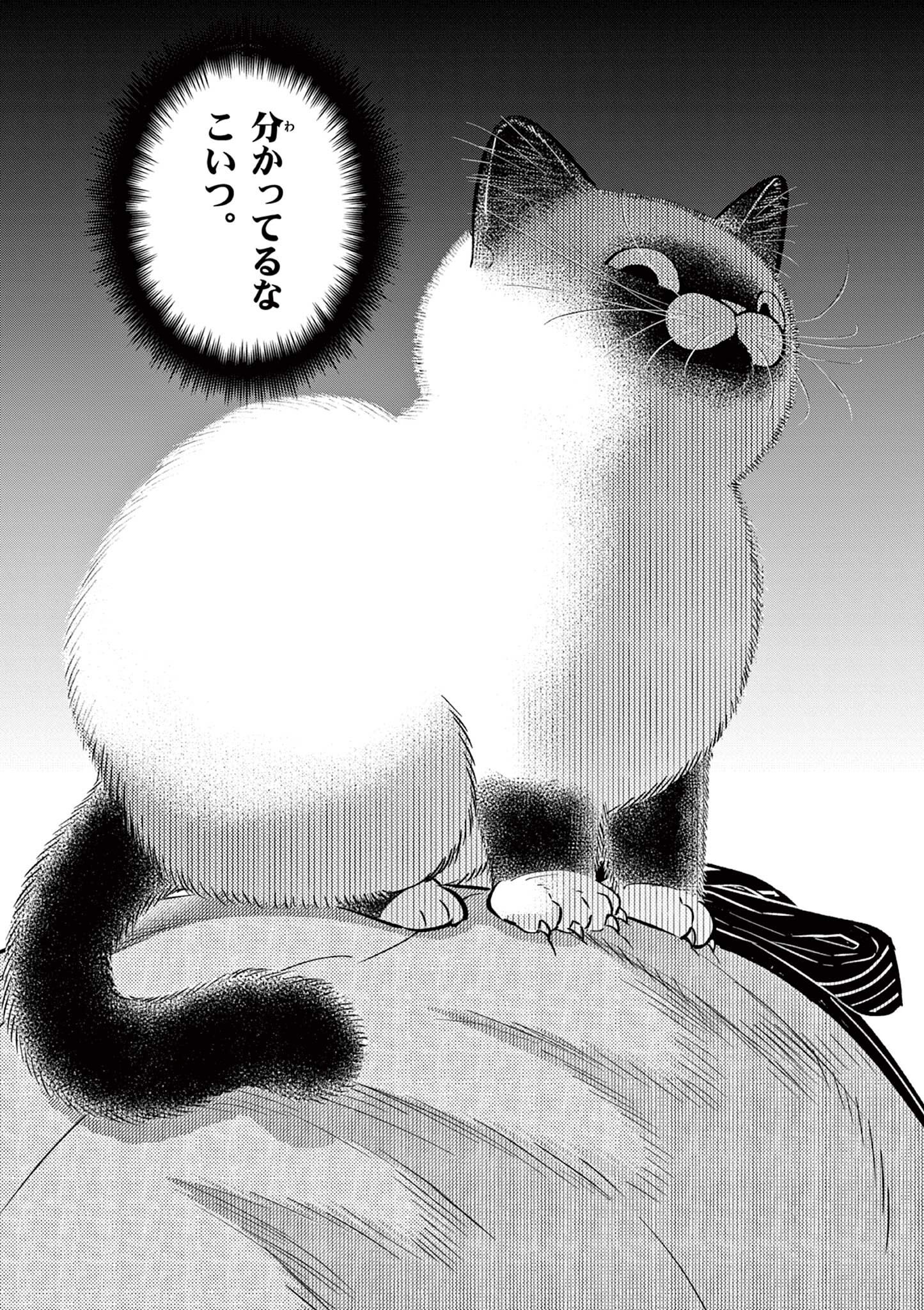 OJI-SAN TO NYANKICHI Chapter 53 page 10 - nihonkuni.com