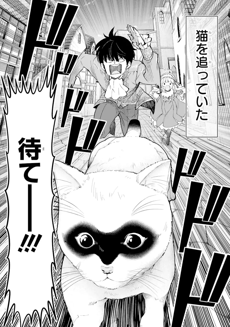 ORE WA KAGE NO EIYUU JA ARIMASEN! Chapter 5.2 page 2 - nihonkuni.com
