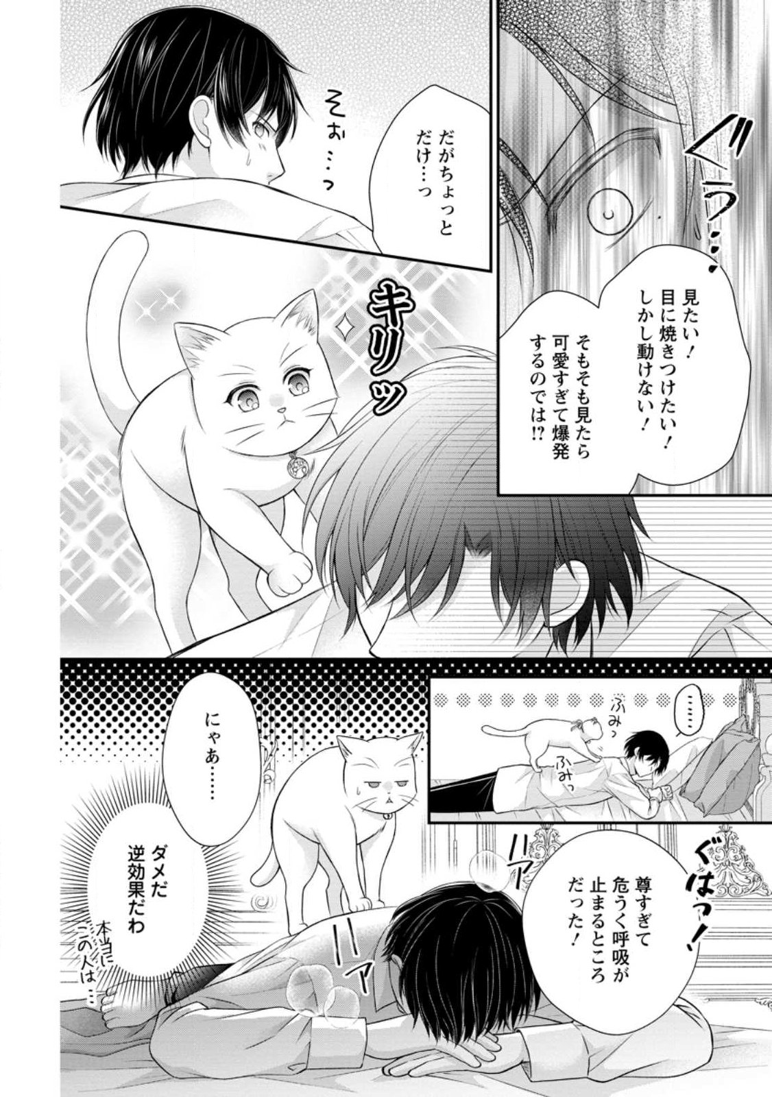 Read NOROI DE NEKO NI SARETA AKUNE, O TAISHI NI HIROWARERU Chapter 16.3 [High Quality / Full] - Page 8 - nicomanga.net