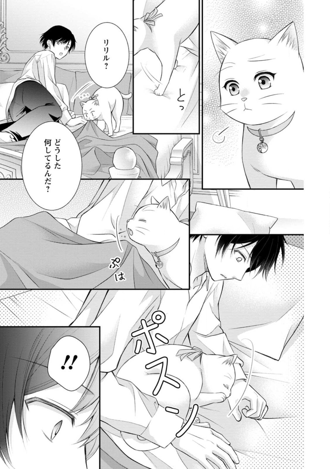 Read NOROI DE NEKO NI SARETA AKUNE, O TAISHI NI HIROWARERU Chapter 16.3 [High Quality / Full] - Page 9 - nicomanga.net