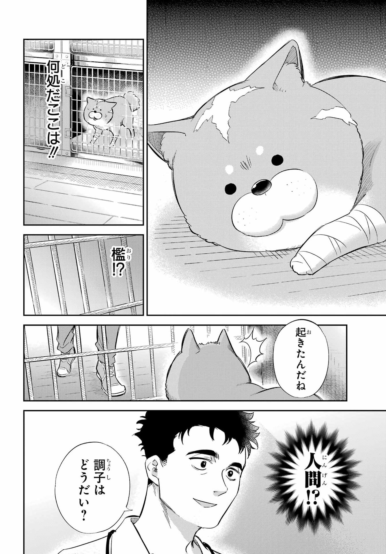 Read OJISAMA TO NEKO Chapter 132 [High Quality / Full] - Page 22 - nicomanga.com
