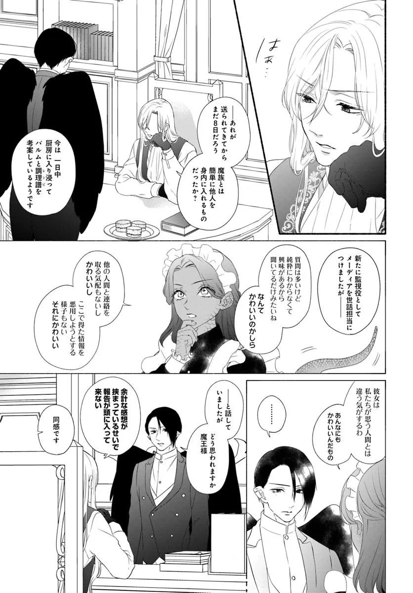 MAOU SAMA, OISHII GOHAN WO MESHIAGARE!: TSUIHOU SARETA SUEOUJO WA MAZOKU NO KUNI DE SHIAWASE NI KURASHIMASU! Chap 3.1 - Pic 7