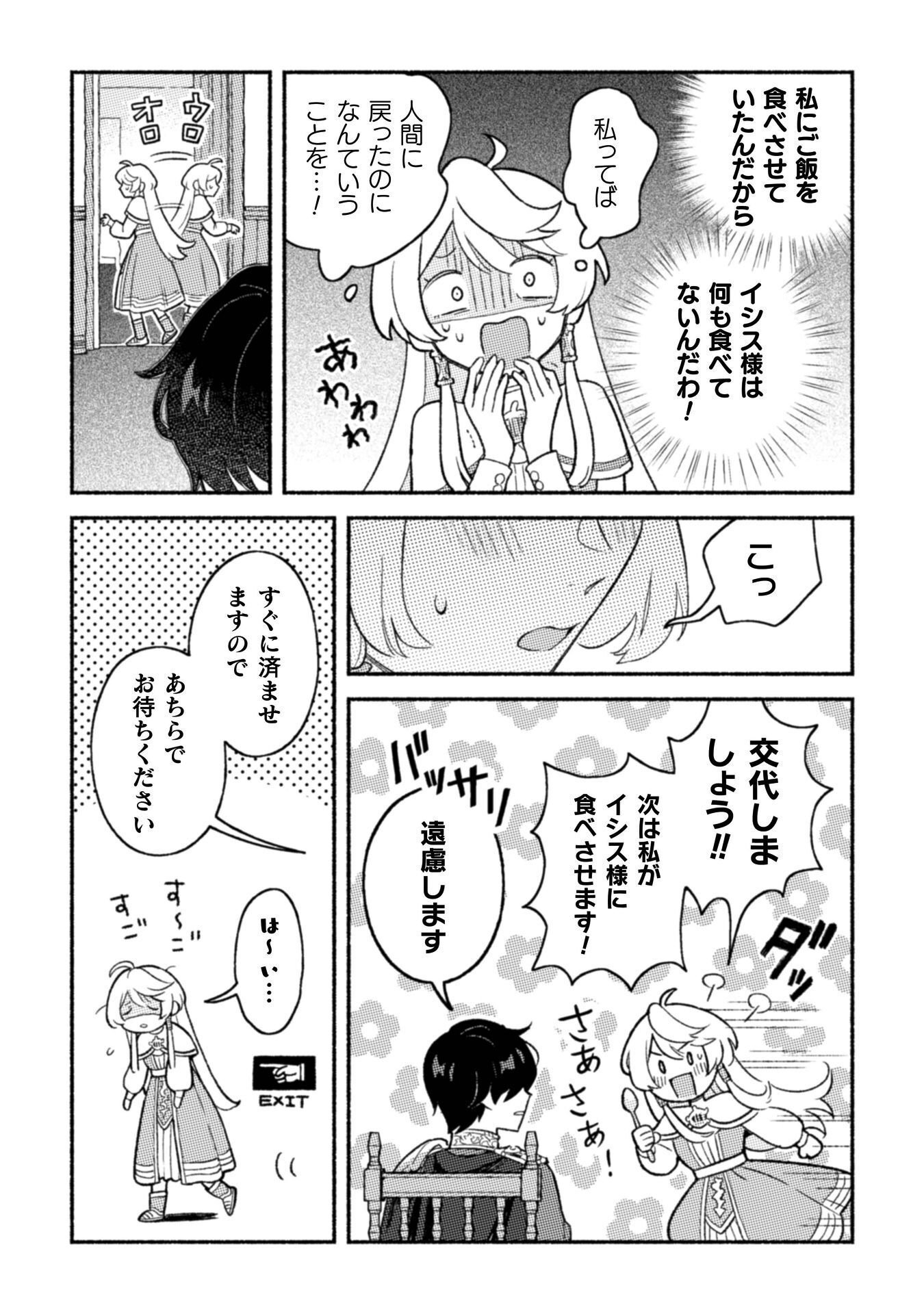 NEKURA KISHI NI YORU DEKIAI MANKITSU-CHUU NU BUSA NEKO, JITSU WA SEIJO DESU! Chap 11 - Pic 10