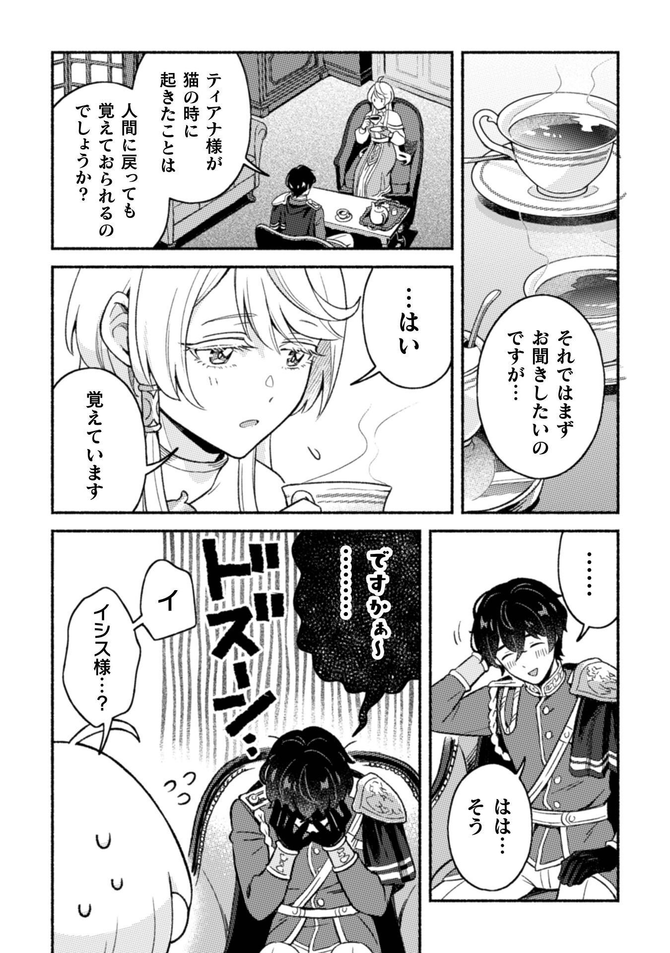 NEKURA KISHI NI YORU DEKIAI MANKITSU-CHUU NU BUSA NEKO, JITSU WA SEIJO DESU! Chap 11 - Pic 11