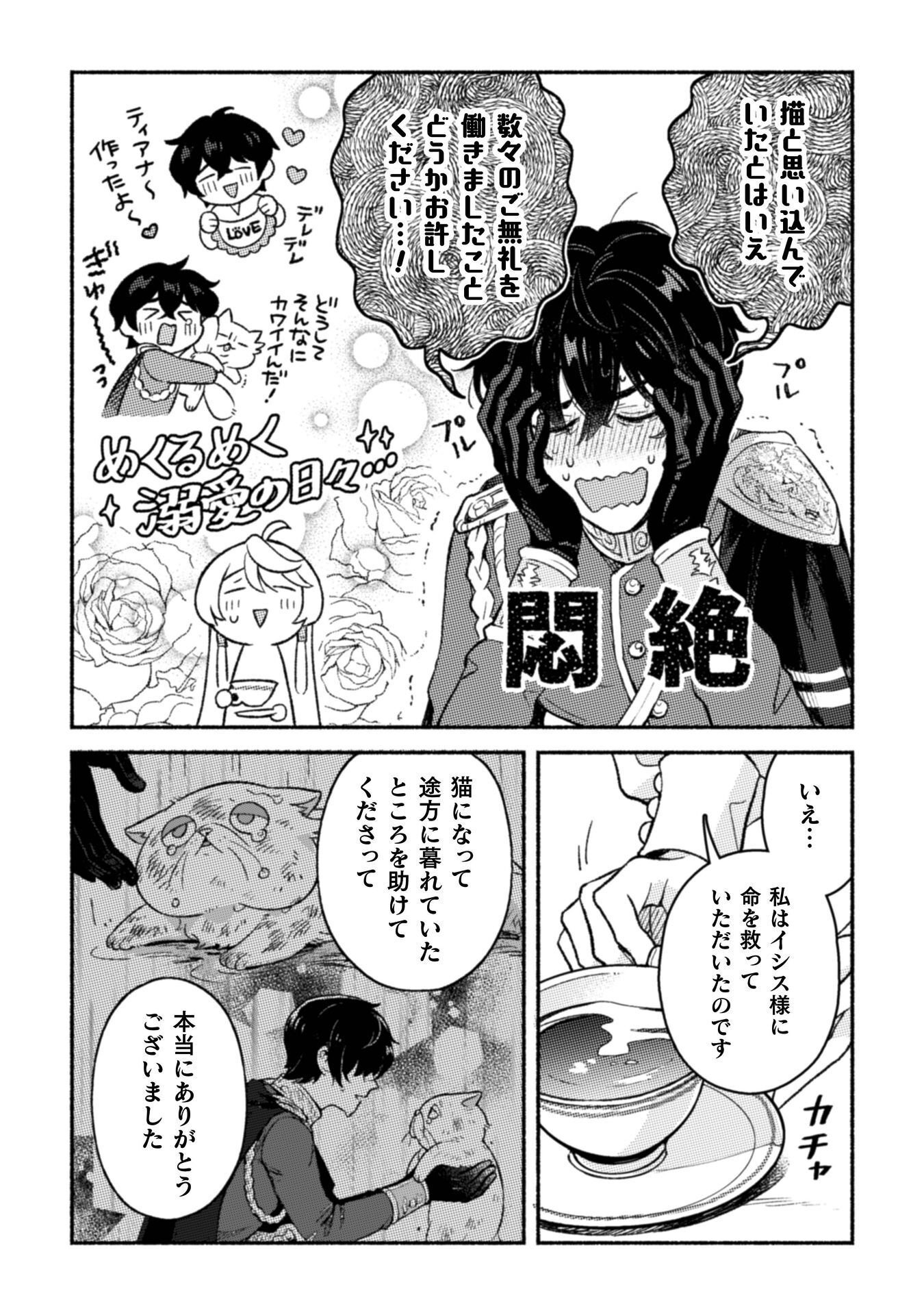 NEKURA KISHI NI YORU DEKIAI MANKITSU-CHUU NU BUSA NEKO, JITSU WA SEIJO DESU! Chap 11 - Pic 12