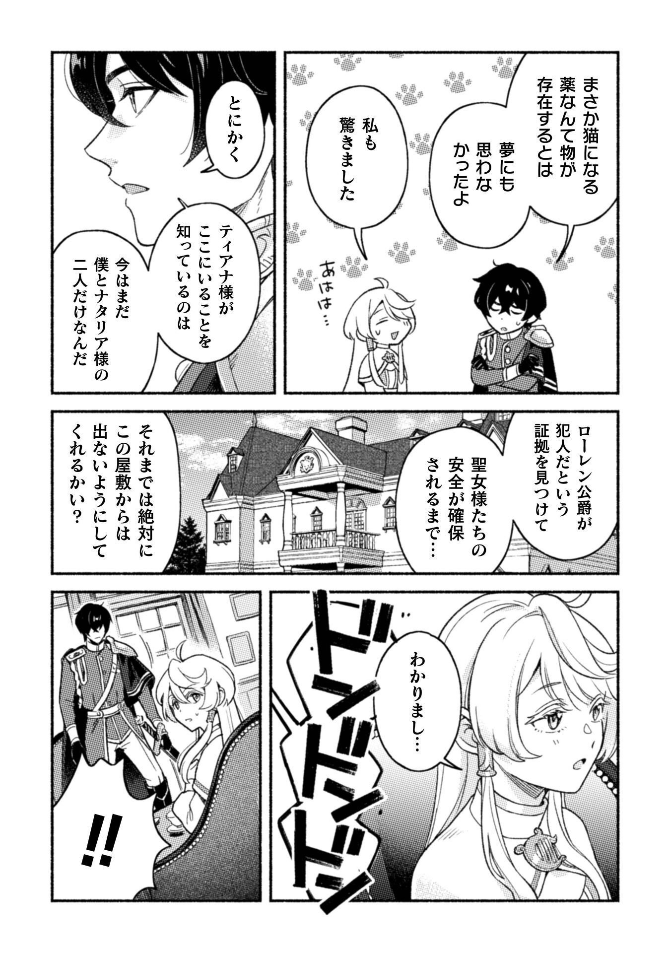 NEKURA KISHI NI YORU DEKIAI MANKITSU-CHUU NU BUSA NEKO, JITSU WA SEIJO DESU! Chap 11 - Pic 20