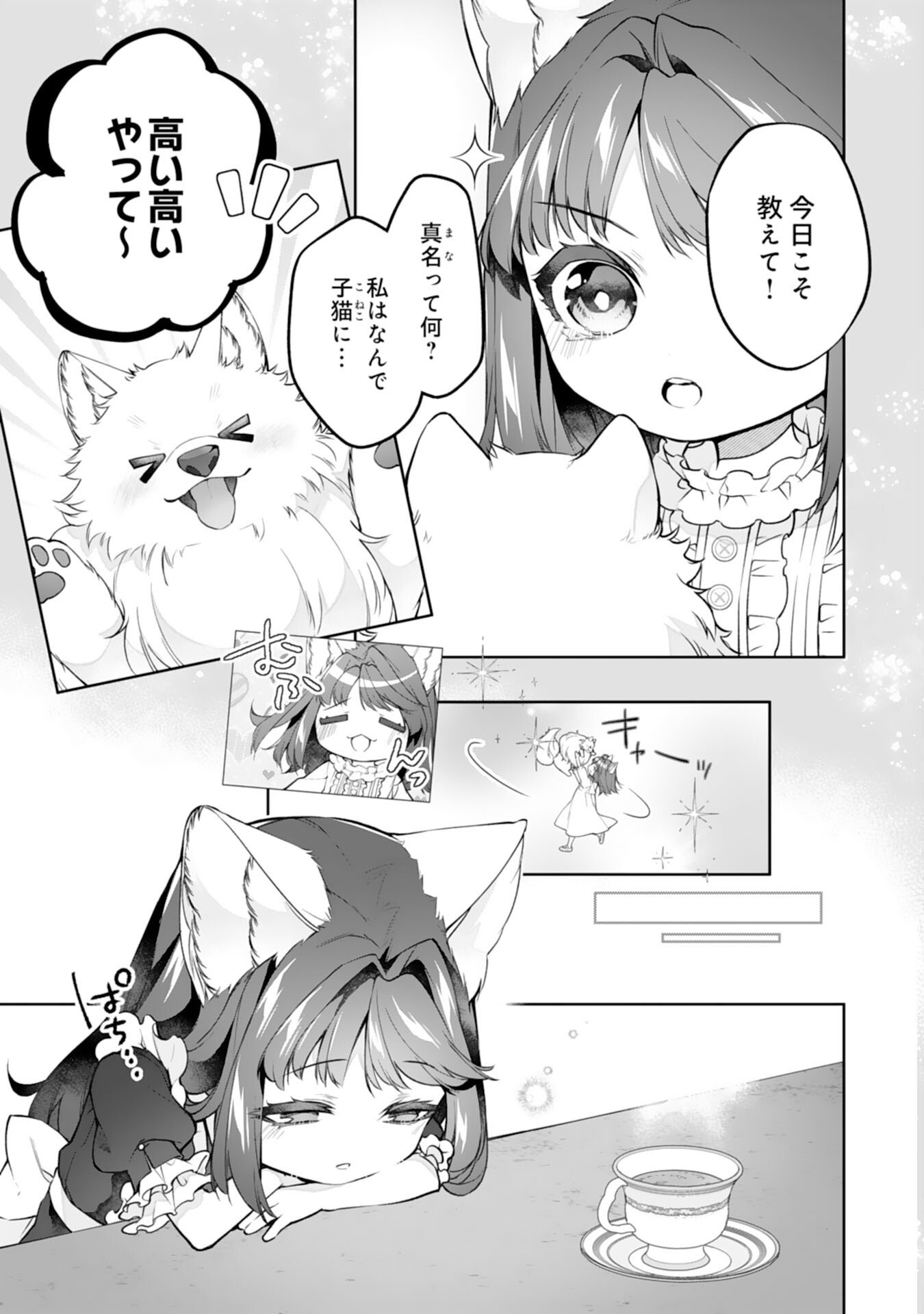 NEKO NEKO YOUJO NO AIJOU GOHAN - ISEKAI DE MOFUMOFU-TACHI NI RYOURI WO TSUKURIMASU! Chapter 16 page 3 - nihonkuni.com