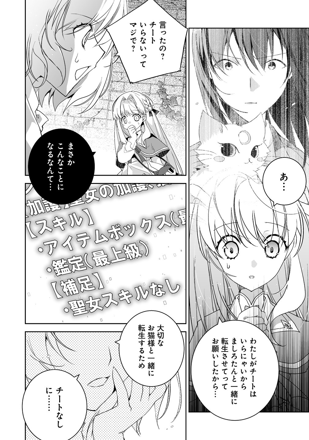 TENSEI YOUJO WA AIBYOU TO NONBIRI TABI WO SURU Chap 3 - Pic 8