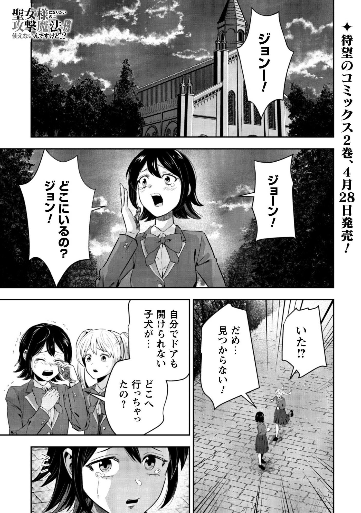SEIJO SAMA NI NARITAI NO NI KOGEKI MAHO SHIKA TSUKAENAI NDESUKEDO!? Chapter 11 page 2 - nihonkuni.com